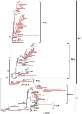 Genetic diversity, distribution, and evolution of chicken anemia virus: A comparative genomic and phylogenetic analysis